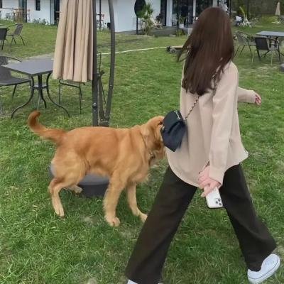白衣修女